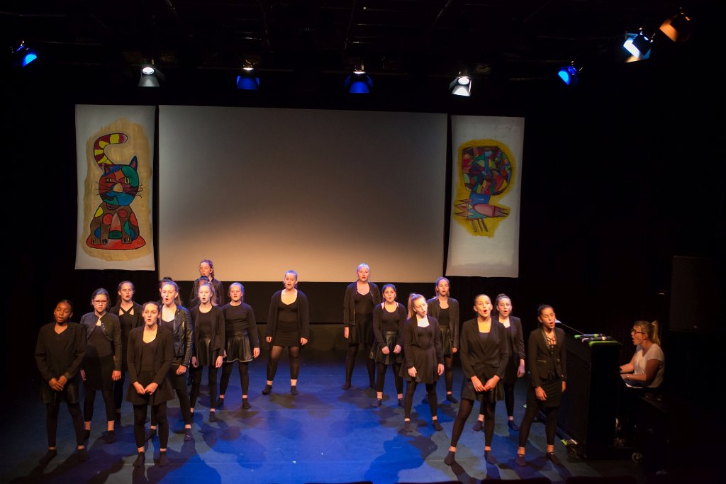 DMB Academie 2018 110.jpg